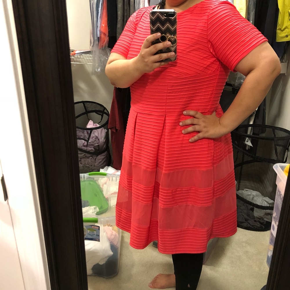 Taylor Dresses Pintucked Fit & Flare Dress NWT - Picture 5 of 8